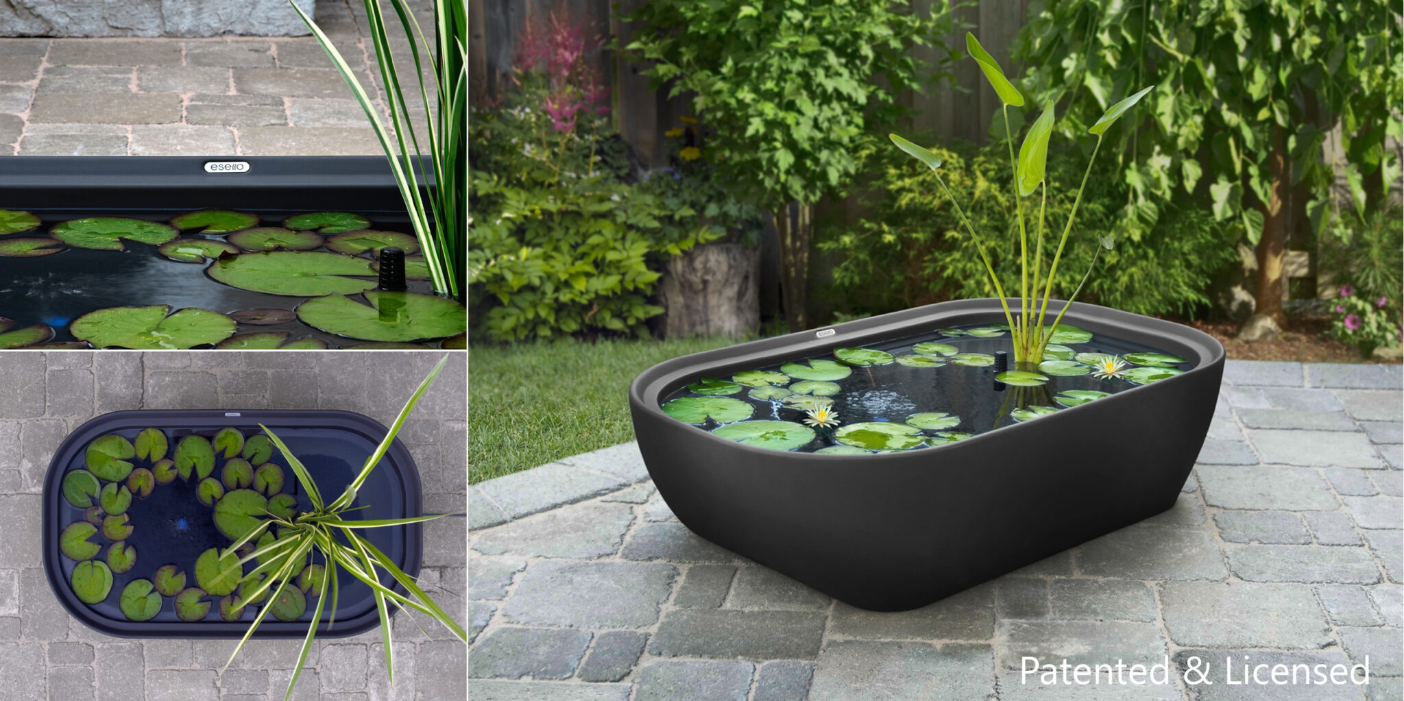 Tom Korzen - Product Design and Development Portfolio - Patio Pond